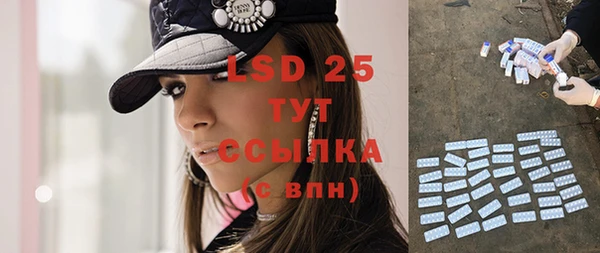 гашик Вязьма