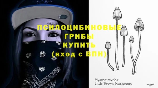 гашик Вязьма