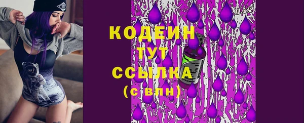 гашик Вязьма
