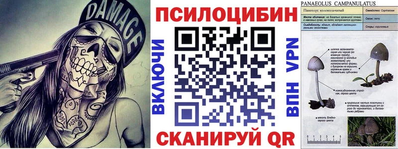 Купить  Куйбышев  Галлюциногенные грибы Magic Shrooms 